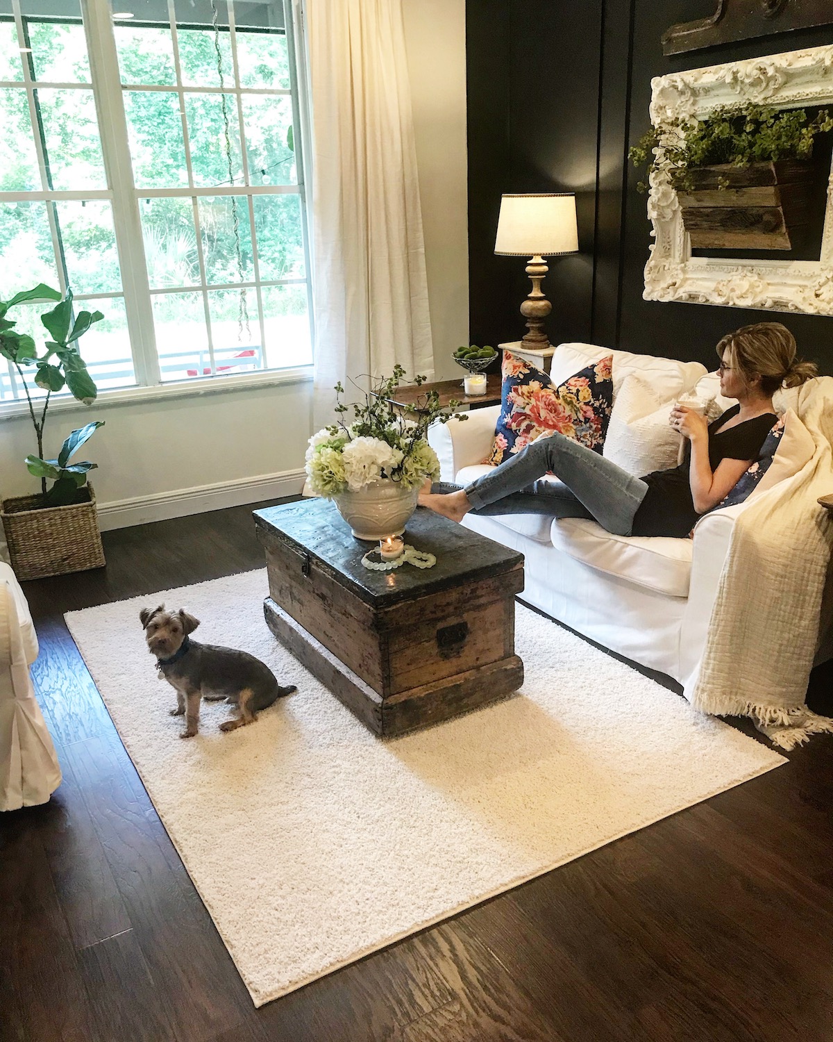 Why I Chose Stylish, Pet-Friendly Carpet Why I Chose Stylish, Pet-Friendly Carpet