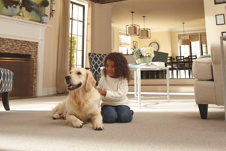More Vacuuming Tips More Vacuuming Tips