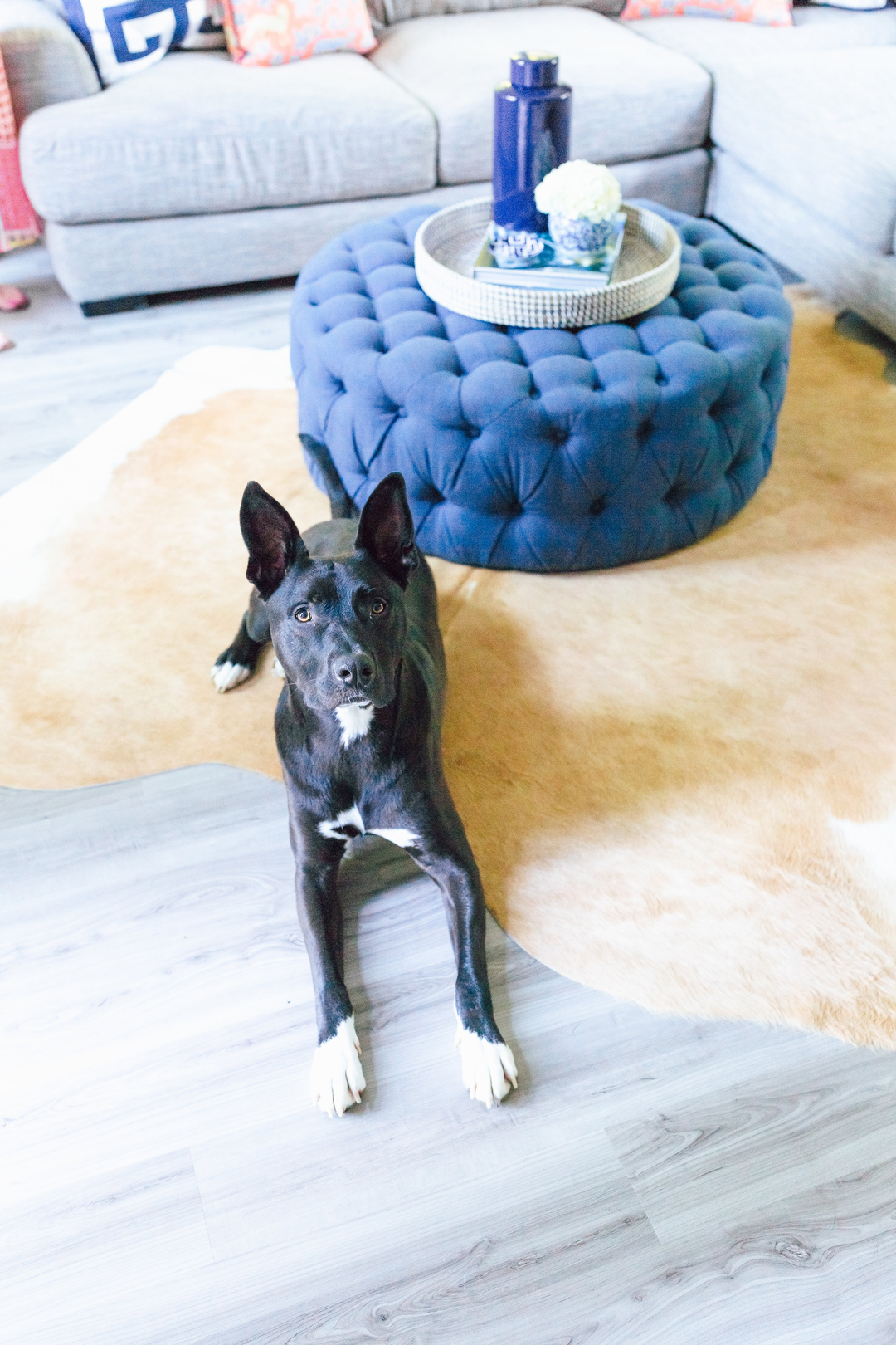 Waterproof, Baby-Proof, Dog-Proof Floor