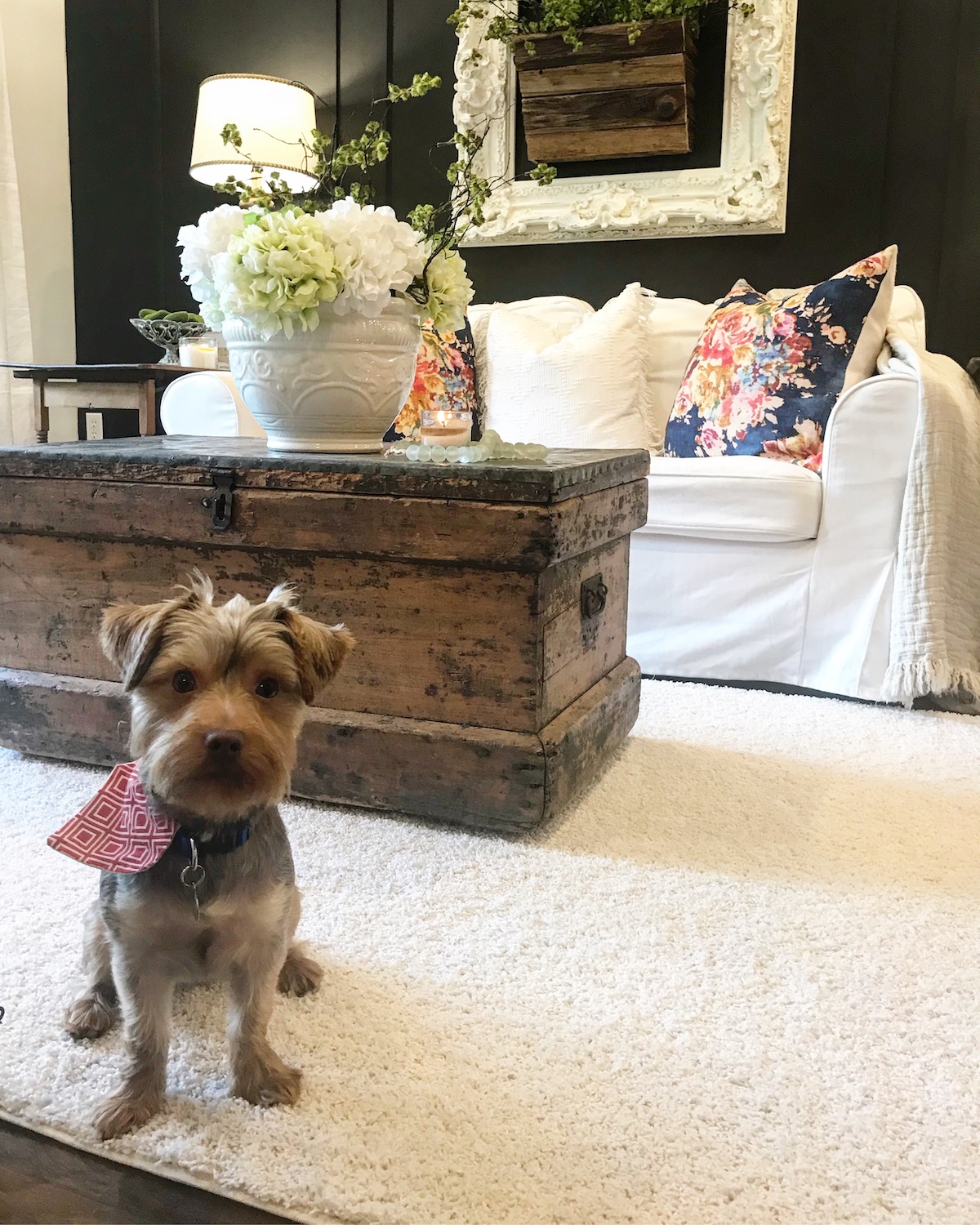 SmartStrand Forever Clean carpet SmartStrand Forever Clean carpet