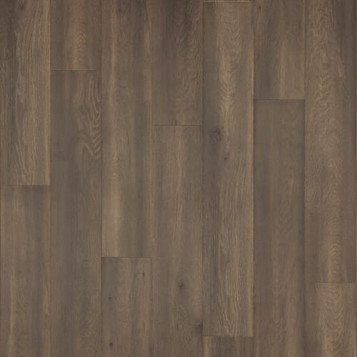 Sea Otter Oak