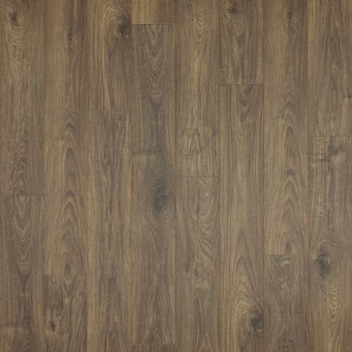 Iris Oak