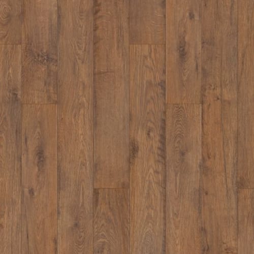 Twilight Oak