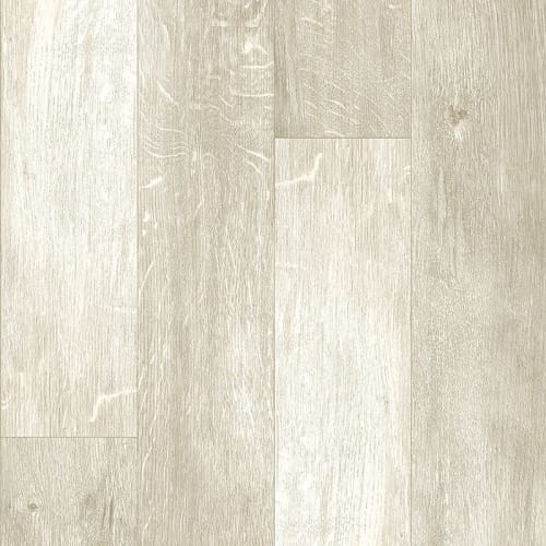 Warbler Oak