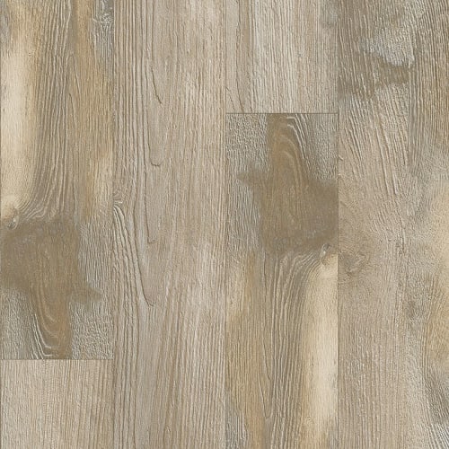 Sedge Wren Oak