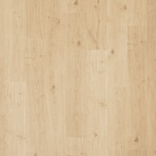 Preservation Oak