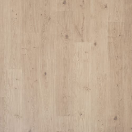 Monument Grey Oak