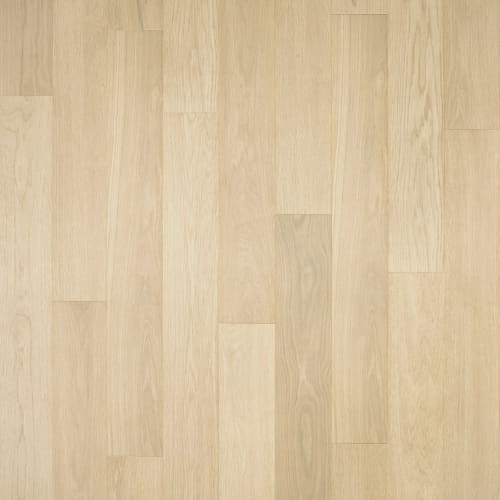 Pale Oak