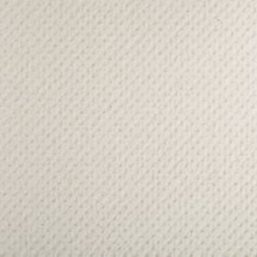 White Dove