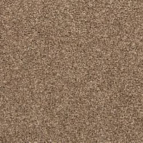 Color Classics I by Mohawk Industries - Mystic Wood