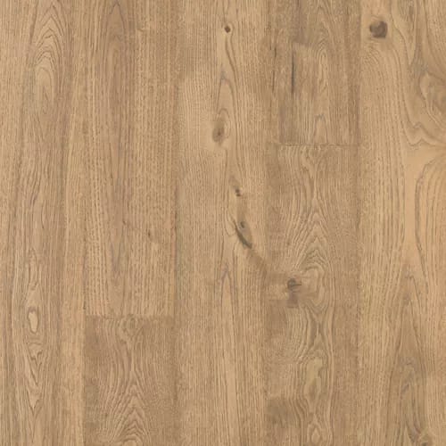 Sandbank Oak