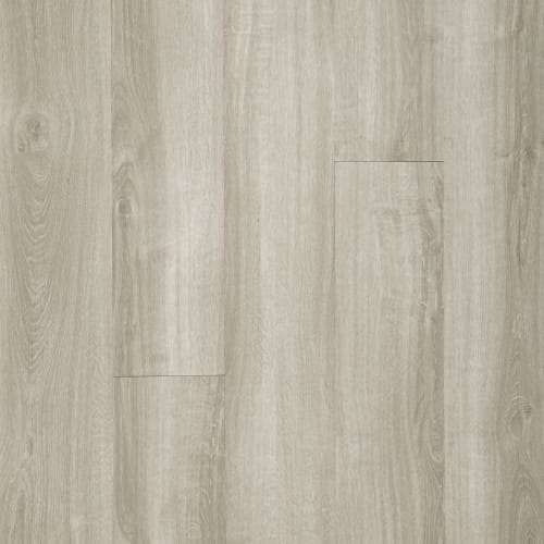 Chinchile Oak