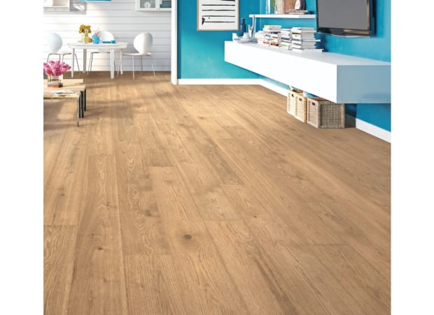 Sandbank Oak