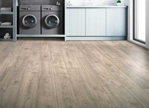 Asher Gray Oak