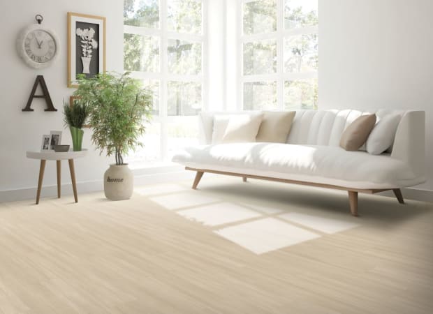 Sand Dollar Oak