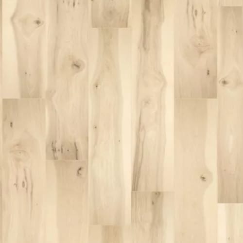 Sugared Hickory