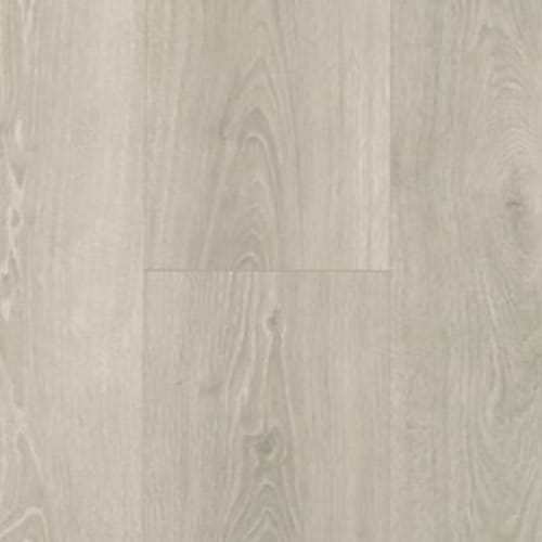 Silver Shadow