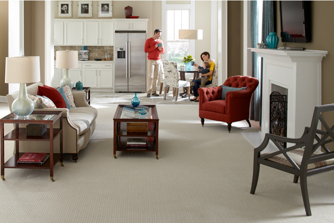 Family Room with Mohawk Carpet Family Room with Mohawk Carpet